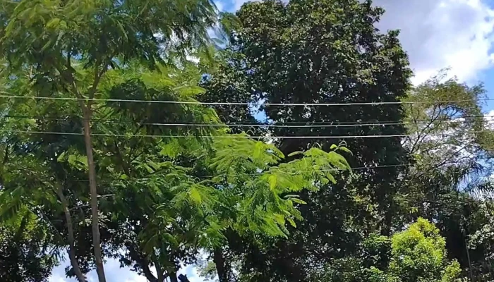 Casa Cuatro Estaciones - Paso De La Patria