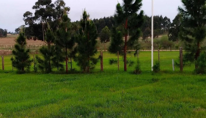 Casa De Campo Dona Tere Horario - Monte Caseros