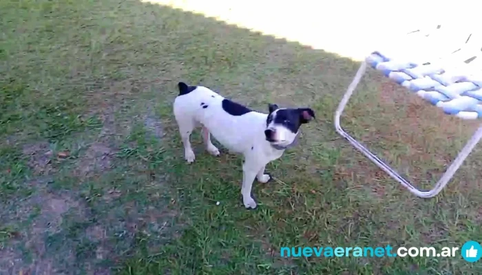 Casa De Campo Dona Tere Videos - Monte Caseros