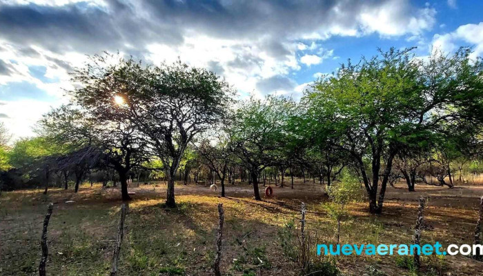 Casa de Piquillines - Santiago Del Estero
