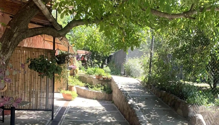 Casa Del Arbol Instagram - Tafí del Valle