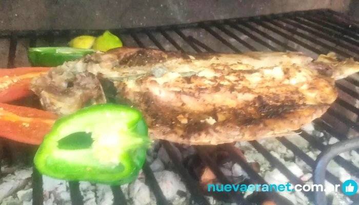 Casa Del Arbol Videos - Tafí del Valle