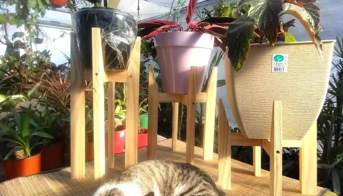 Casa Vivero -  Del Propietario - Río Cuarto
