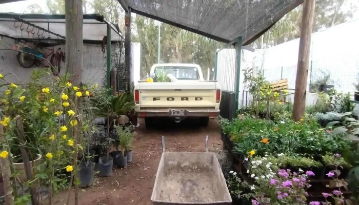 Casa Vivero -  Instagram - Río Cuarto