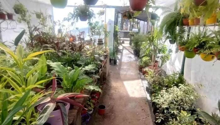 Casa Vivero -  Jardin - Río Cuarto