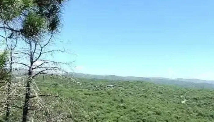 Casona Los Pinos -  Videos - Agua de Oro