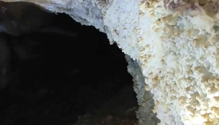 Cavernas El Sauce -  Videos - La Falda