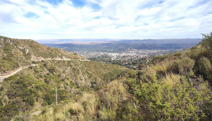 Cerro La Banderita -  Bosque - La Falda
