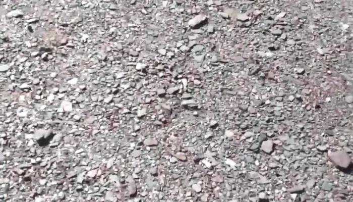 Choya -  Videos - Santiago del Estero