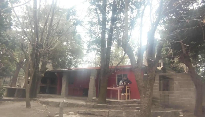 Comedor Y Vinedo El Pantanillo Opiniones - Achiras