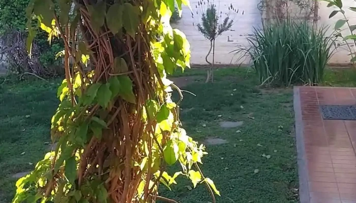 Complejo Casa De Campo Cabanas Finca Los Aromos San Juan Ar Videos - Medano de Oro