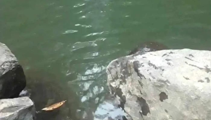 Concepcion Videos - Corrientes