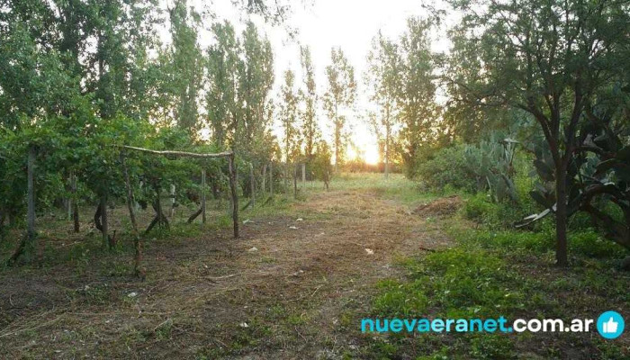 De La Casa De Dora Productos Agroecologicos De Los Visitantes - Loreto