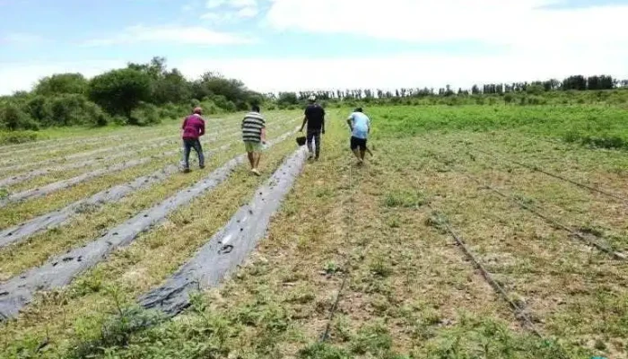 De la Casa de Dora productos agroecológicos - Loreto