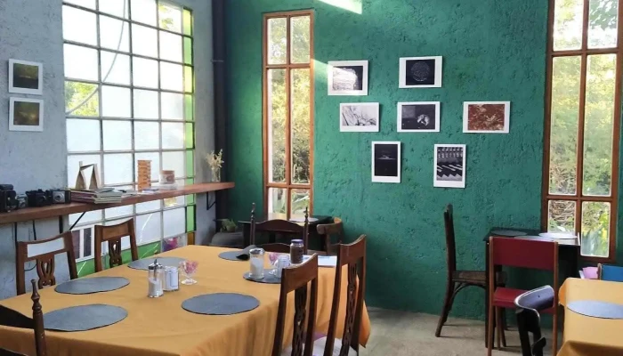 Dorotea Casa De Te Cafe De Especialidad Ambiente - Villa Ani Mi
