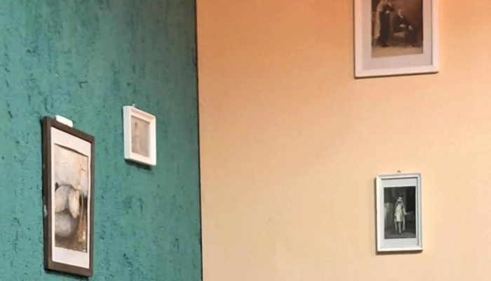 Dorotea Casa De Te Cafe De Especialidad Cerca De Mi - Villa Ani Mi