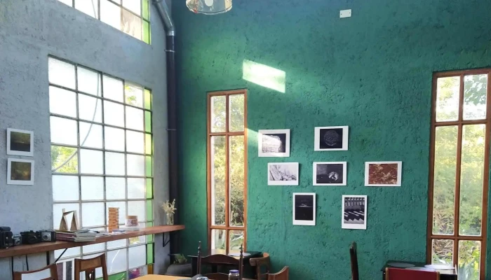 Dorotea Casa De Te Cafe De Especialidad Videos - Villa Ani Mi