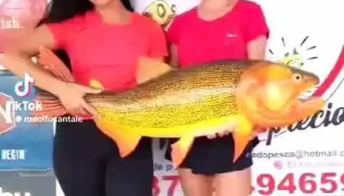 El Dorado Art De Pesca -  Del Propietario - Paso de la Patria