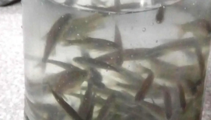 El Matungo Casa De Pesca -  Fotos - Juana Koslay