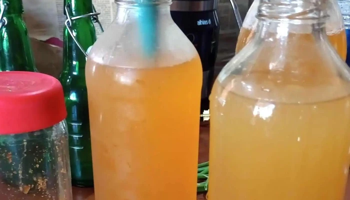 Endulzarte Mburucuya Jugo - Mburucuyá