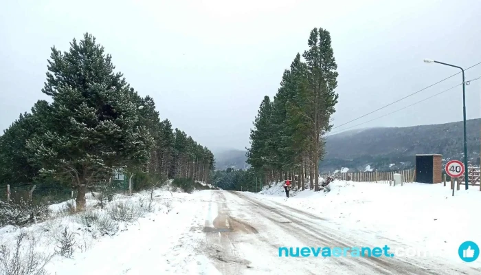 Entre Masas - San Martín De Los Andes