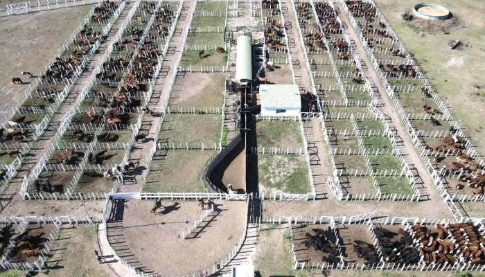 Esteban Abelenda S.a. Consignataria de Hacienda - Reconquista