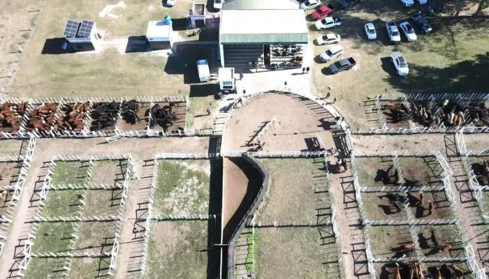 Esteban Abelenda Sa Consignataria De Hacienda Del Propietario - Reconquista