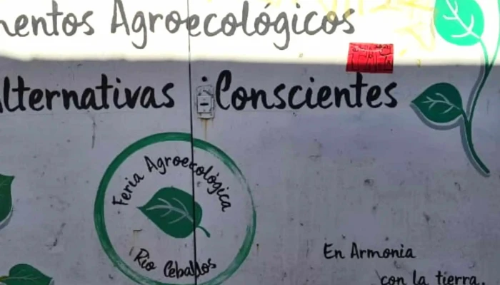 Feria Agroecologica   Rio Ceballos Videos - Río Ceballos