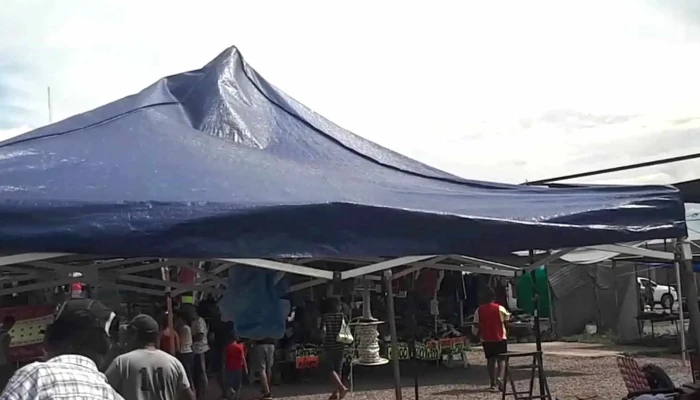 Feria De Lo Nuevo Y Usado Mendoza -  Horario - Rodeo de la Cruz