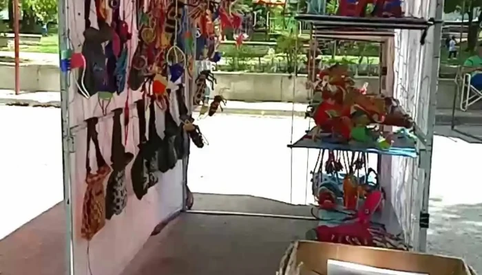 Feria Regional El Bolson Videos - El Bolsón