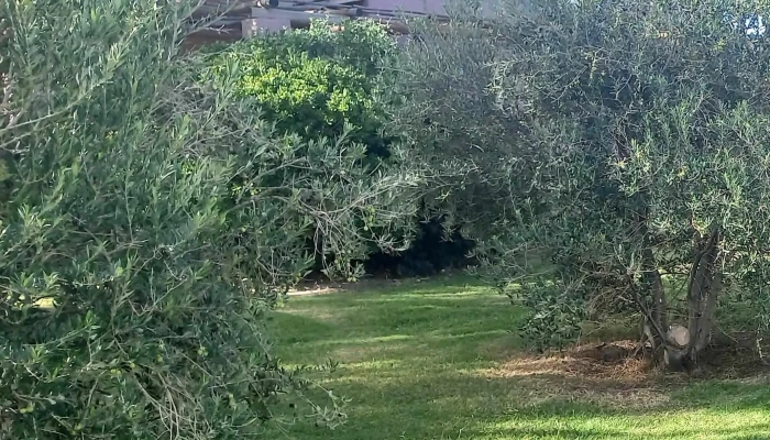 Finca Sierras Azules -  Puntaje - San Juan