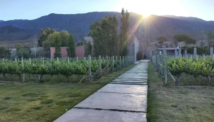 Finca Sierras Azules -  Vina - San Juan