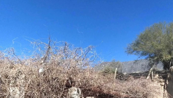 Finca Sierras Azules -  Zona - San Juan