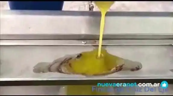 Fincas De Cruz Del Eje -    El Federal Del Propietario - Cruz del Eje