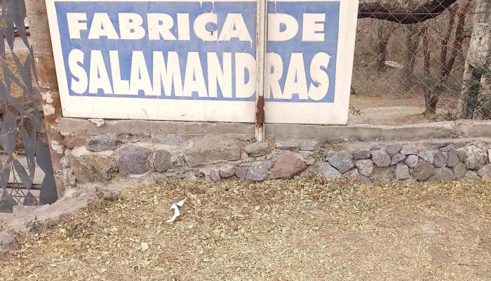 Fuego Sagrado -    Sierras Chicas Sa   Fabrica De Estufas Y Hornos Donde - La Calera