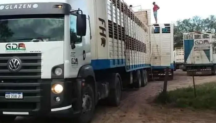Ganaderos de Formosa s.r.l. Consignataria y transporte de Hacienda - Ibarreta