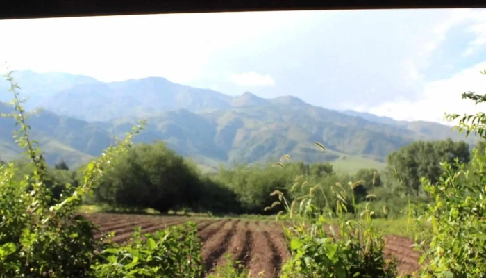 Godoy Inmobiliaria -    Tafi Del Valle   Tucuman Tafi Del Valle - Tafí del Valle