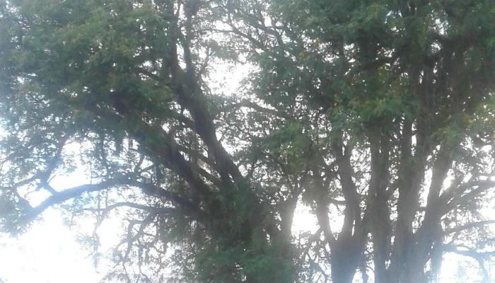 Gonzalo Multipartes Instagram - Corrientes