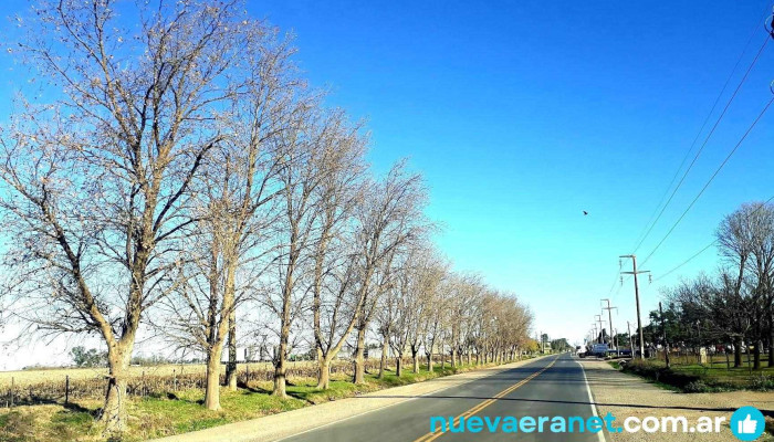Gral. Baldissera - Gral. Baldissera