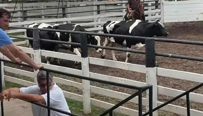 Grimaldi Remates Ferias Sa - La Francia