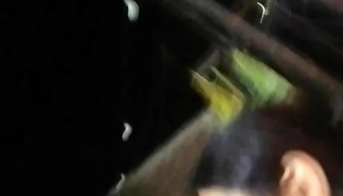 Guadalupe Sandwicheria Videos - Monteros