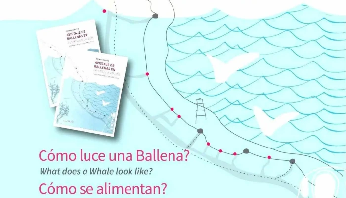Guia De Campo Avistaje De Ballenas Comentarios - Puerto Madryn