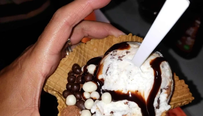 Helados El Polo Corrientes Srl Catalogo - Corrientes