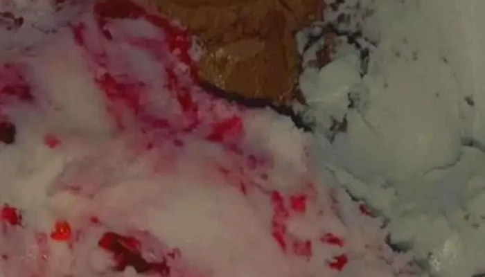 Helados Melano -  Helado - Las Varillas