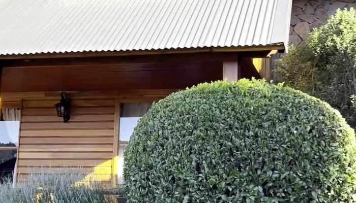 Hosteria Y Cabanas Posada Quinen Exterior - San Martín de los Andes