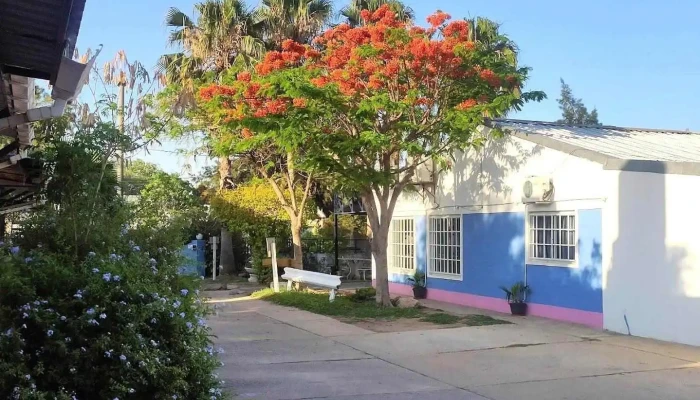 Hotel Rossa - Tostado