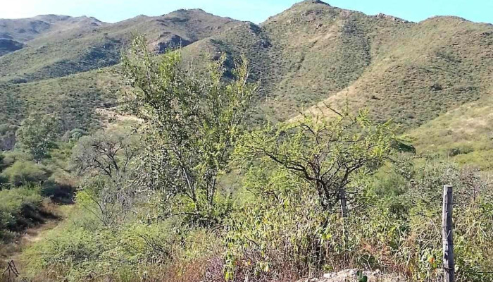 Huerta Grande Sierras De Cordoba -  Mas Recientes - Córdoba