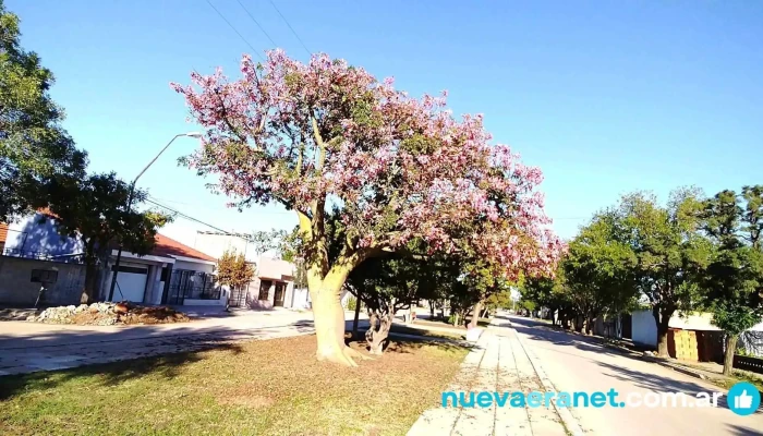 Huinca Renanco Cordoba De Los Visitantes - Huinca Renanco