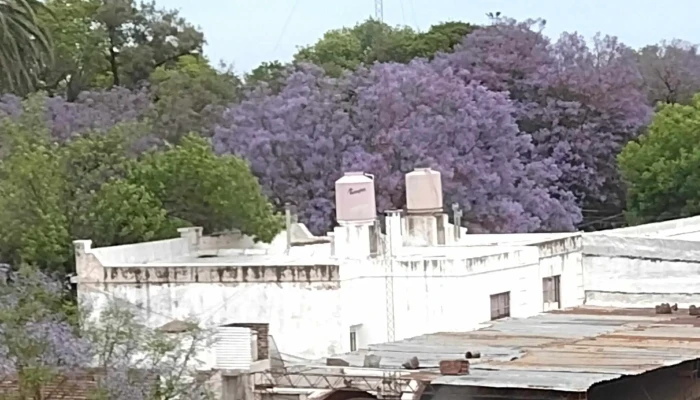huinca renanco, cordoba - Huinca Renanco