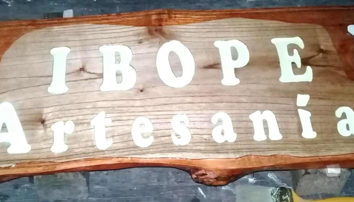 Ibope Artesanias - Concepción